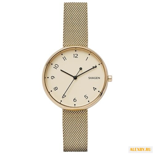 Наручные часы SKAGEN SKW2625