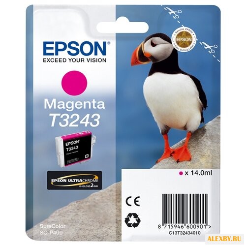 Картридж Epson C13T32434010