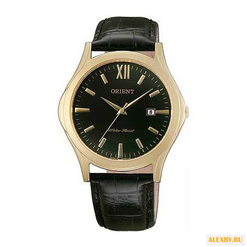 Наручные часы ORIENT LUNA9002B