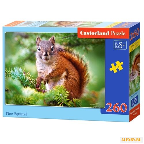 Пазл Castorland Pine Squirrel