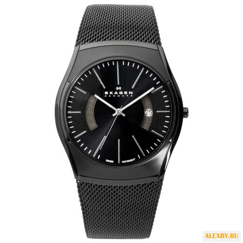 Наручные часы SKAGEN 902XLSBB