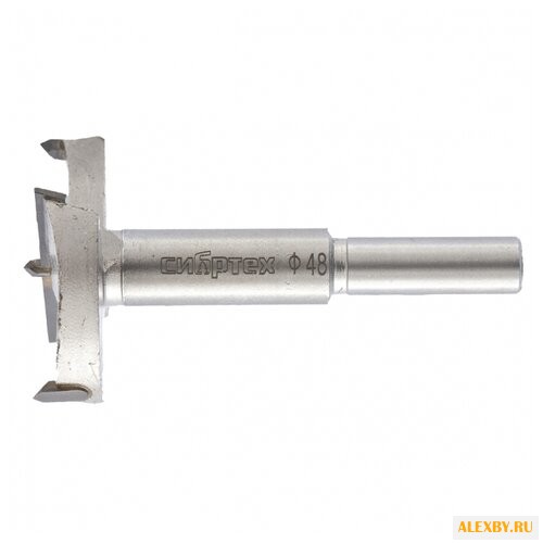 Сибртех 704848 cталь 45