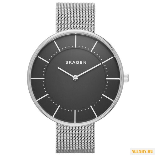 Наручные часы SKAGEN SKW2561