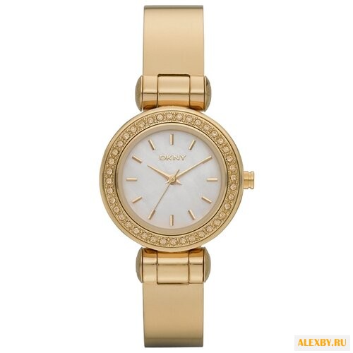 Наручные часы DKNY NY8567