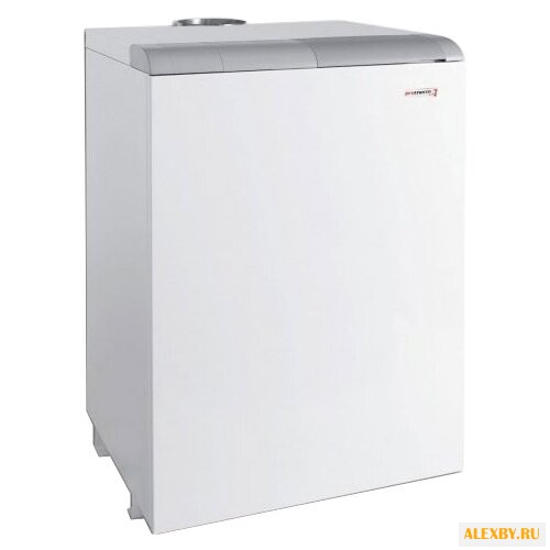 Газовый котел Protherm Медведь