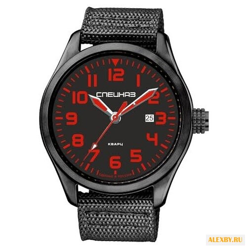 Наручные часы СПЕЦНАЗ С2864346
