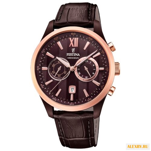 Наручные часы FESTINA F16999 1