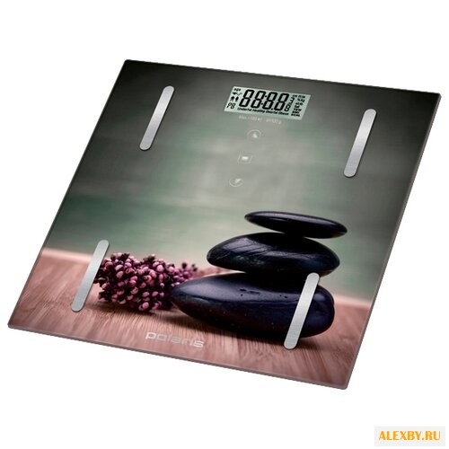 Весы Polaris PWS 1857DGF