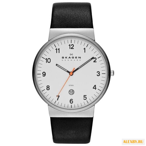 Наручные часы SKAGEN SKW6024