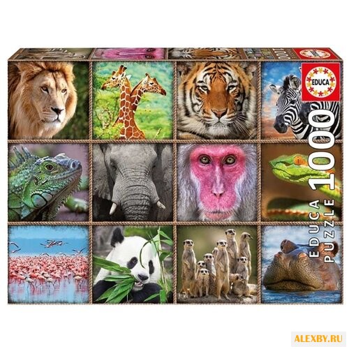 Пазл Educa Коллаж. Дикие звери