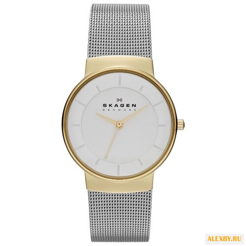 Наручные часы SKAGEN SKW2076