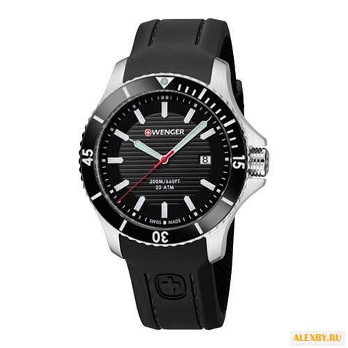 Наручные часы WENGER 01.0641.117