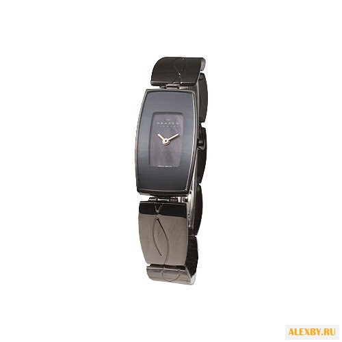 Наручные часы SKAGEN 592SMXM