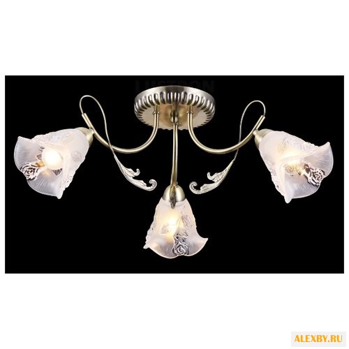 Natali Kovaltseva 11445 3C