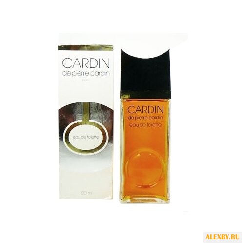 Pierre Cardin Cardin