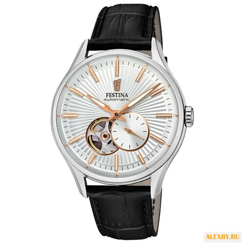Наручные часы FESTINA F16975 1