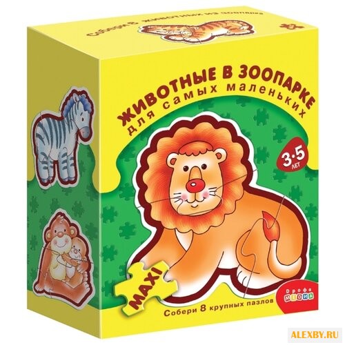 Набор пазлов Дрофа-Медиа ДСМ