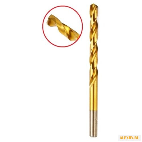 Hammer 202-124 DR MT