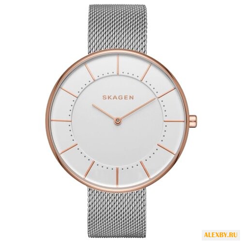Наручные часы SKAGEN SKW2583