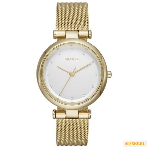 Наручные часы SKAGEN SKW2486