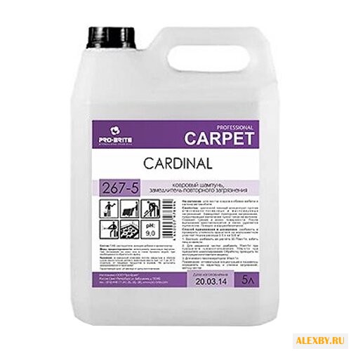 Pro-Brite Шампунь для ковров