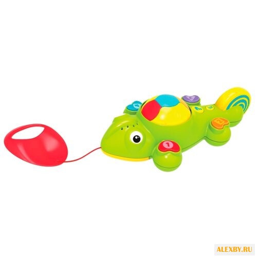 Каталка-игрушка 1 TOY