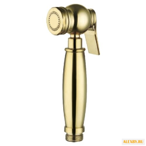 Лейка для гигиенического душа