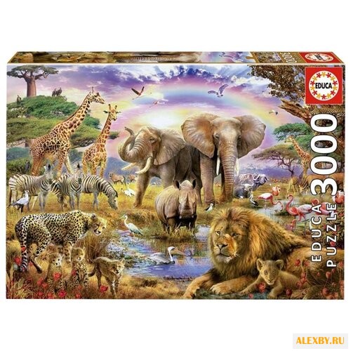 Пазл Educa Жизнь под радугой