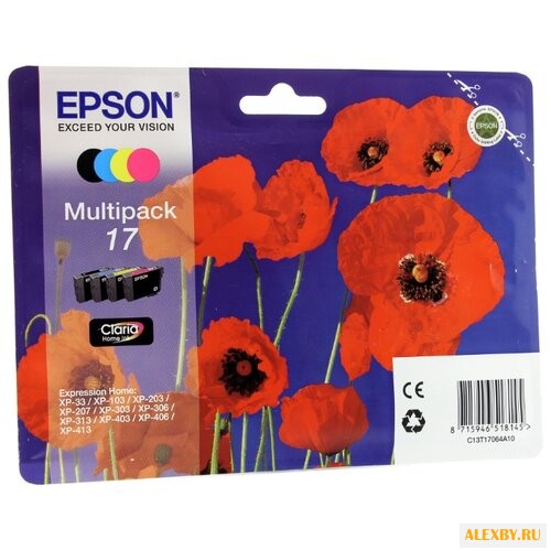 Картридж Epson C13T17064A10