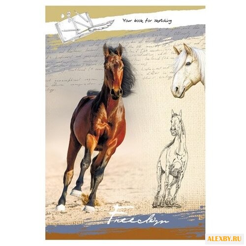 Скетчбук Проф-Пресс Лошаль на