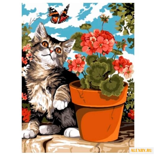 Цветной Картина по номерам