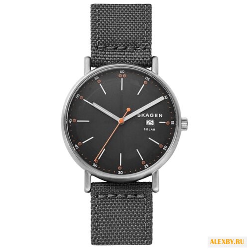 Наручные часы SKAGEN SKW6452