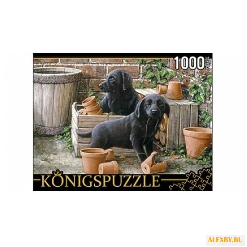 Пазл Рыжий кот Konigspuzzle