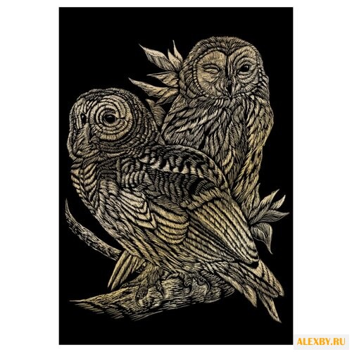 Гравюра Royal & Langnickel Совы