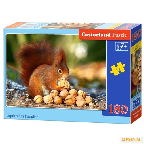Пазл Castorland Squirrel in
