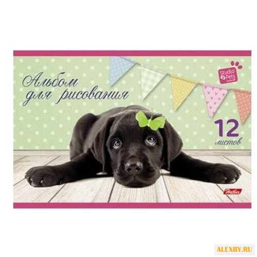 Альбом для рисования Hatber