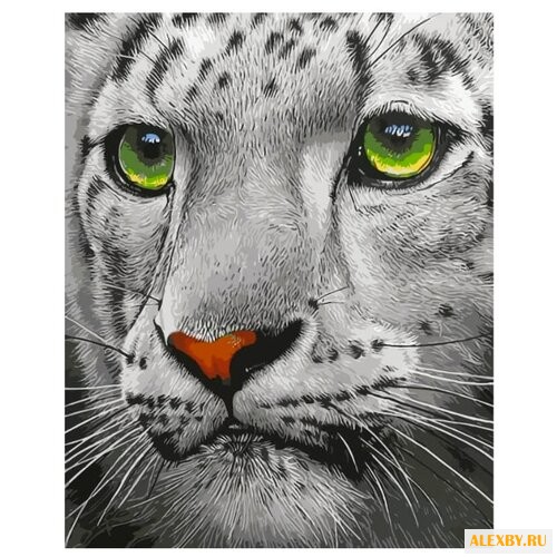 Цветной Картина по номерам