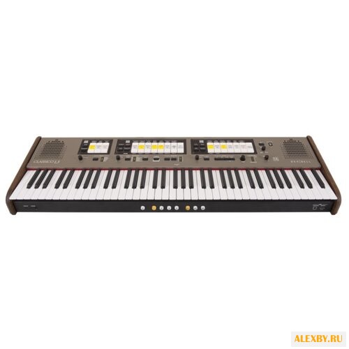 Цифровой орган DEXIBELL