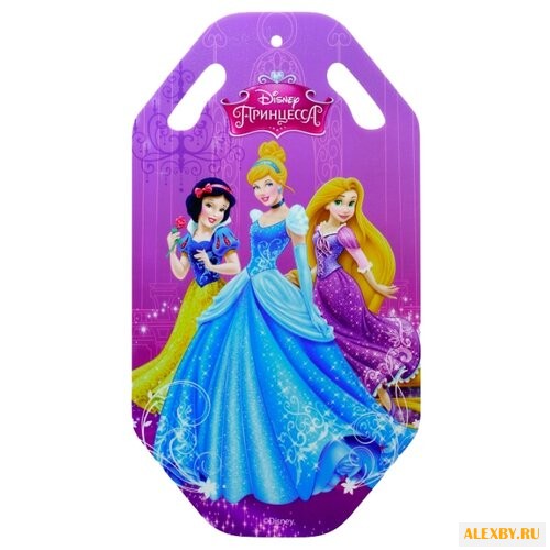 Ледянка 1 TOY Принцессы Т58167