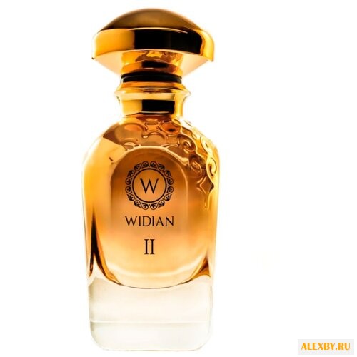 WIDIAN Gold II