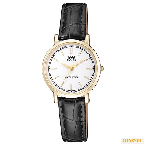 Наручные часы Q&Q Q979 J121