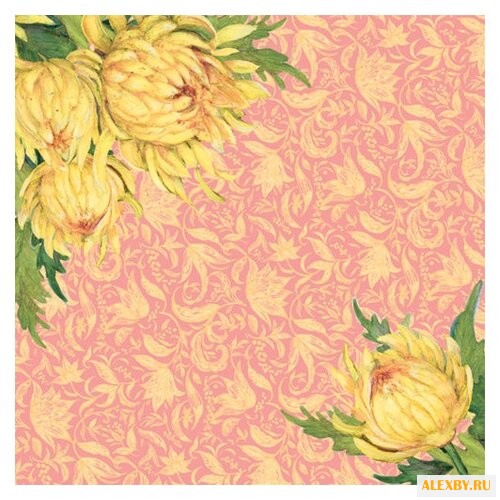 Бумага K&Company 31х31 см 25