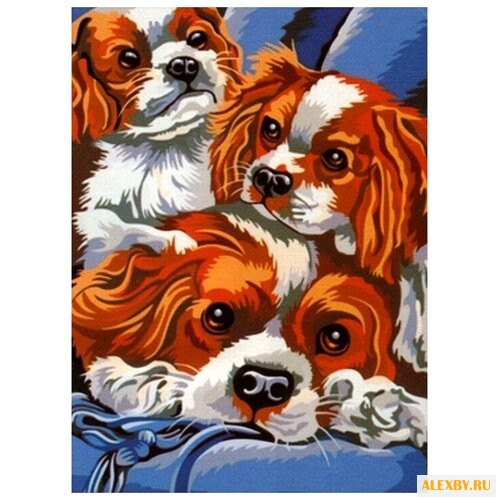 Цветной Картина по номерам