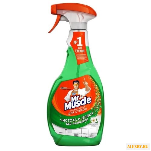 Спрей Mr. Muscle Профессионал