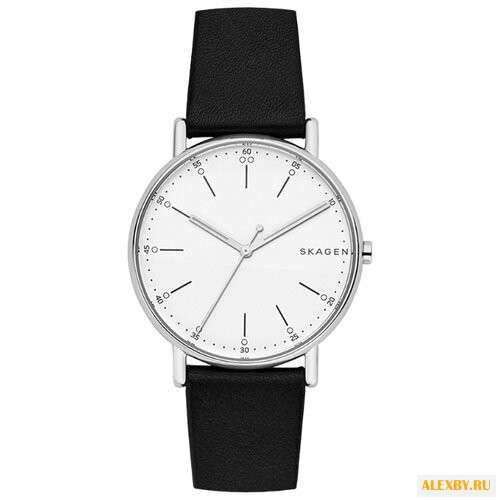 Наручные часы SKAGEN SKW6353