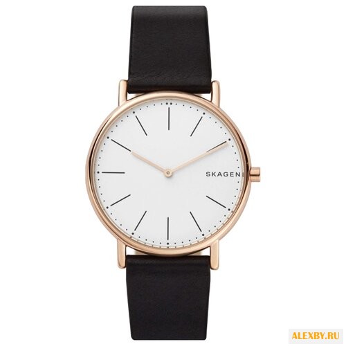 Наручные часы SKAGEN SKW6430