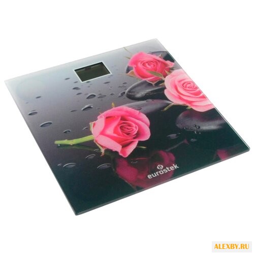 Весы Eurostek ЕВS-2606