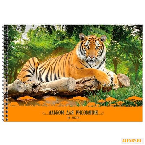 Альбом для рисования ArtSpace