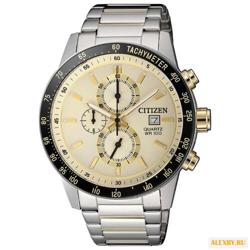 Наручные часы CITIZEN AN3604-58A
