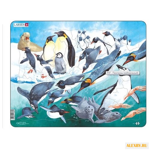 Рамка-вкладыш Larsen Пингвины